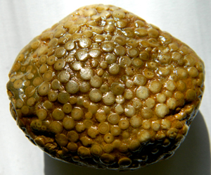 2755.jpg