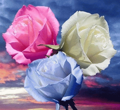 0_747b8_f39ad371_XL.gif