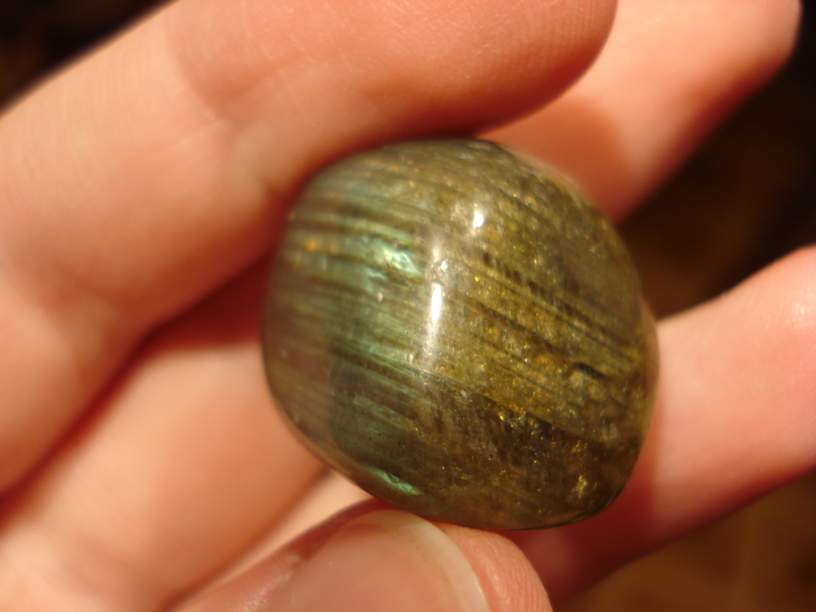 09 009_thumb.jpg