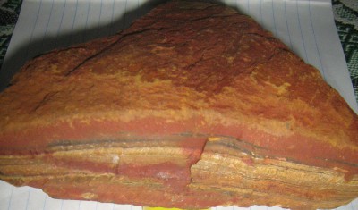 IMG_4775.jpg