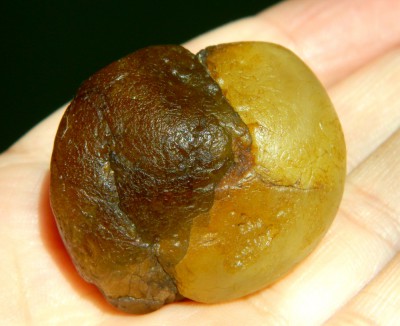 DSCN9270.jpg