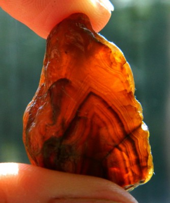 DSCN9250.jpg