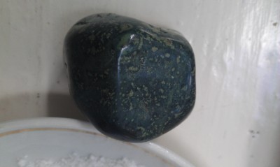 IMAG0445.jpg
