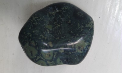IMAG0446.jpg