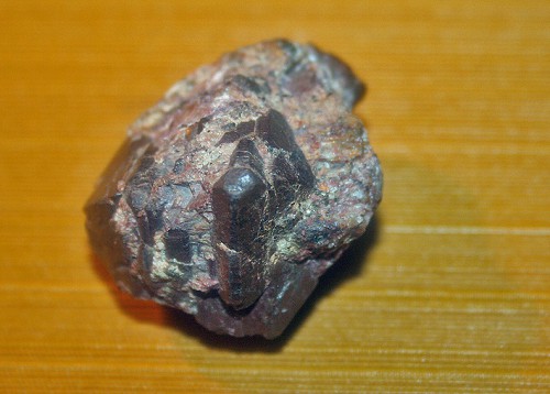 3885.jpg