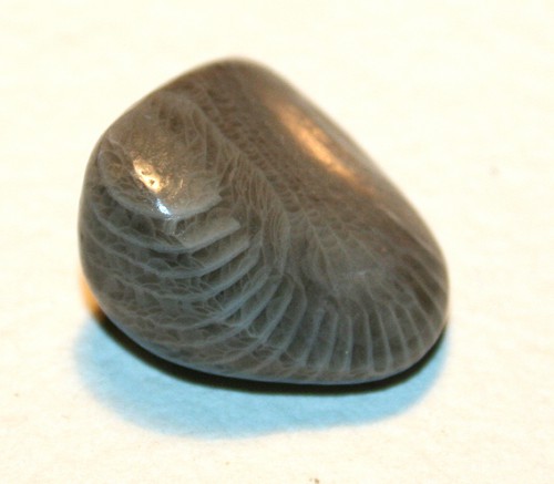 1vat_4510.jpg