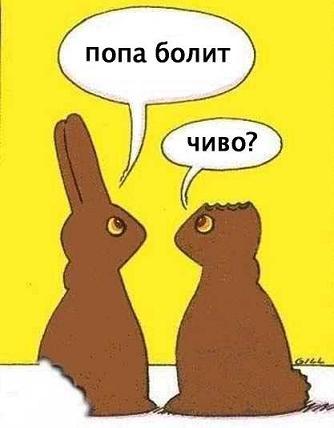шоколадки.jpeg