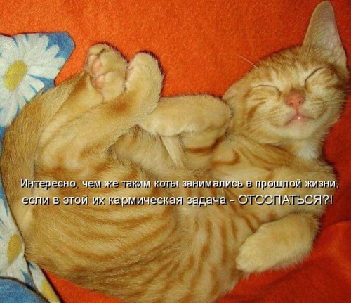 звериная тема-9.jpg