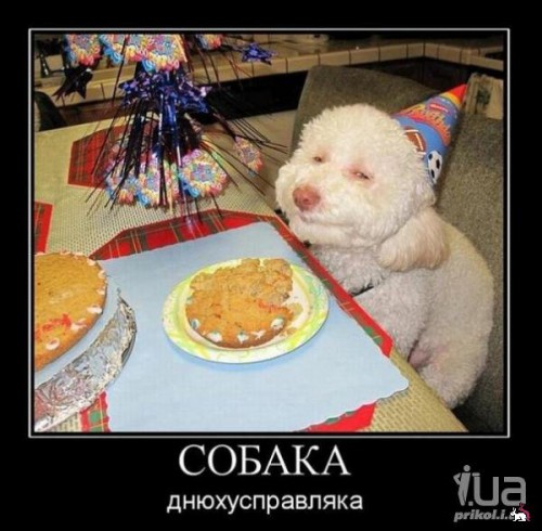 звериная тема-22.jpg