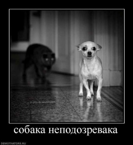 звериная тема-20.jpg
