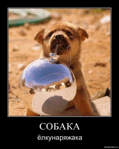 звериная тема-17.jpg