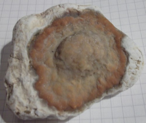DSCF2852.JPG