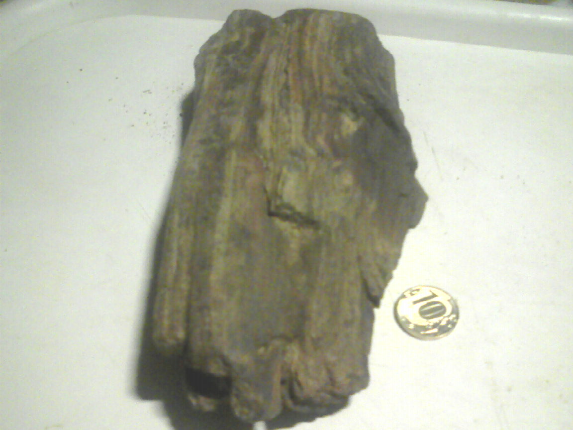 SP_A2634.jpg