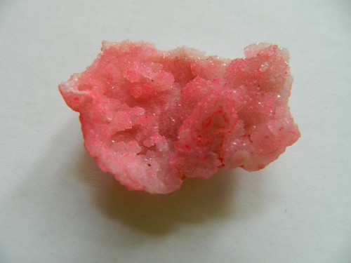 DSCN2254.JPG