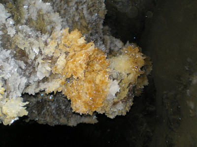 P1100287.JPG