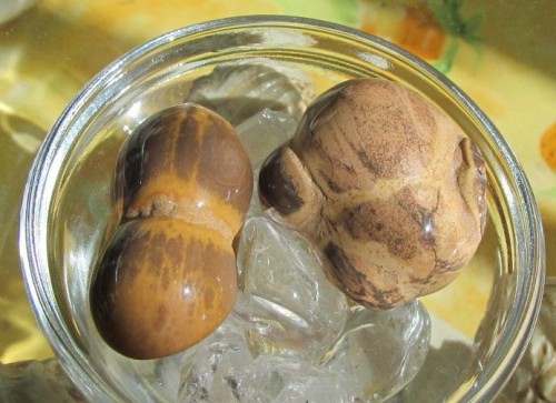 Орешки Аркаима.JPG