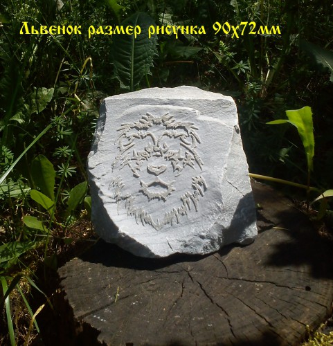 DSC00527.jpg