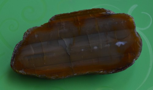 DSC_0765.JPG