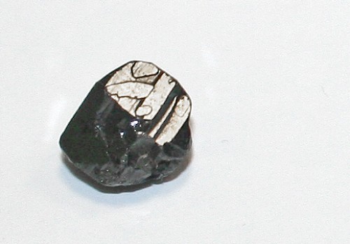 8193.jpg